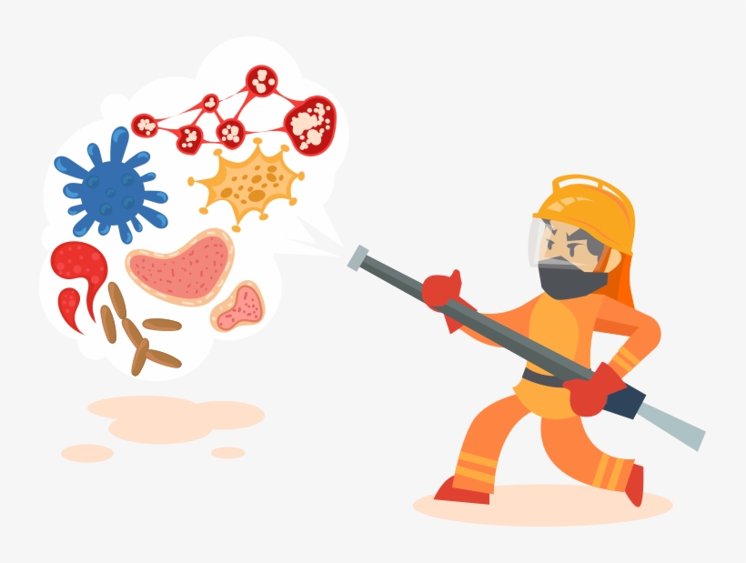 In This Article We Will Provide Twelve Tips To Help, transparent png #8688147