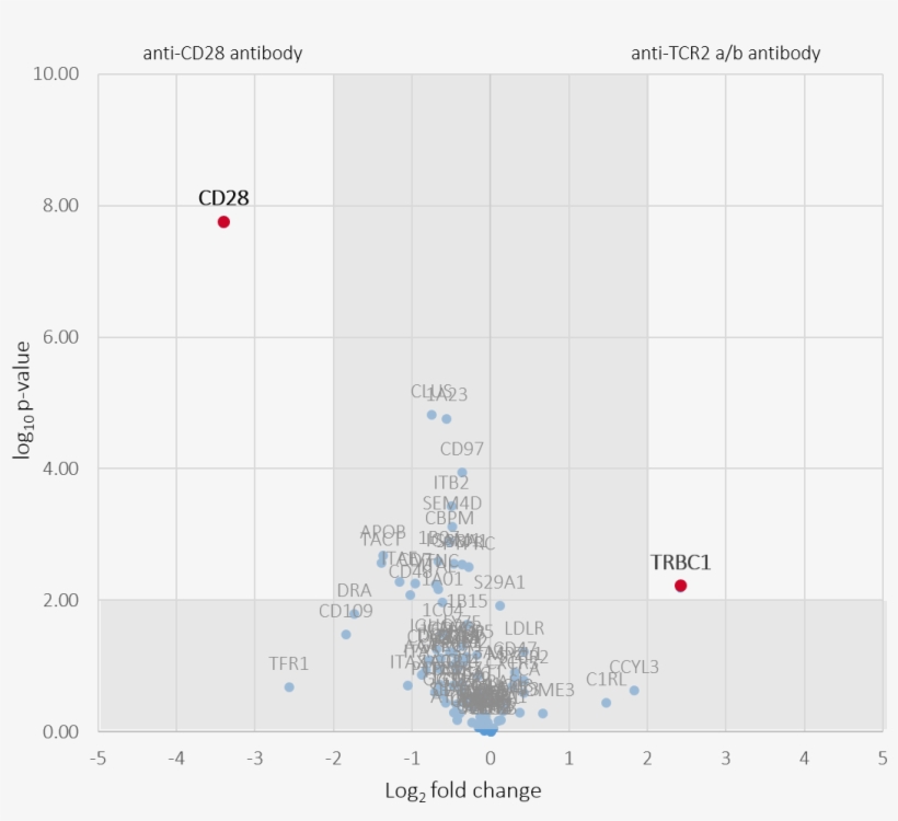 T Cells - Diagram, transparent png #8689277