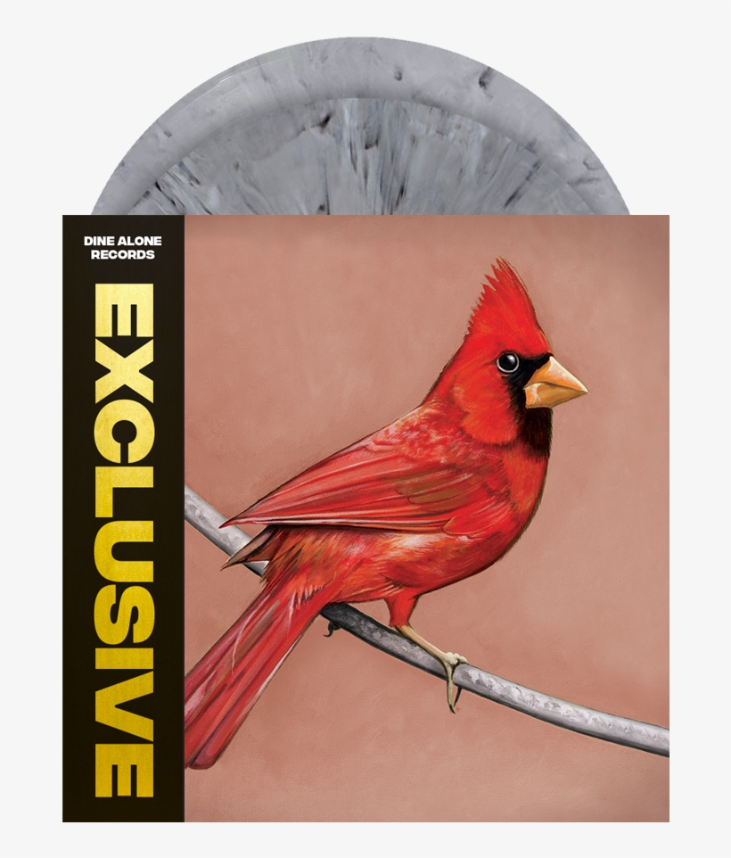 Old Crows / Young Cardinals, transparent png #8689664