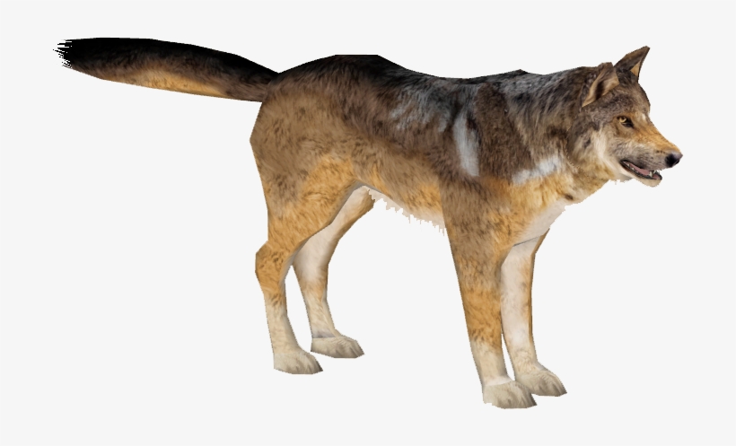 Dog Yawns, transparent png #8690581