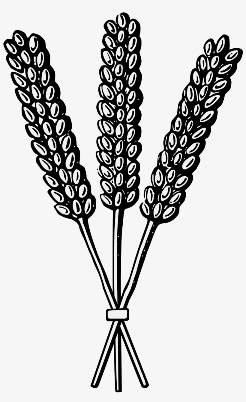 Details, Png - Heraldry Wheat, transparent png #8690913