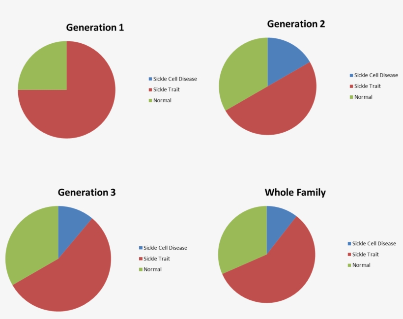 Sickle Cell Genetics Educational Material 6th 7th 8th - Sickle Cell Anemia Percentages, transparent png #8691700