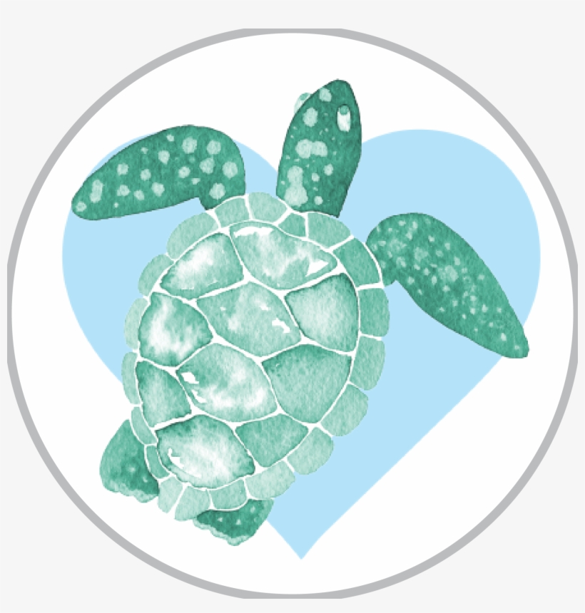 Turtle Xoxo - Sea Life Watercolor, transparent png #8691916