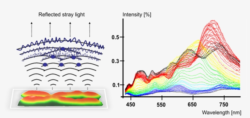 Interference Spectra Of An Unstained Chromosome - Diagram, transparent png #8692260