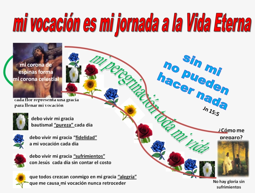 Guia Infantil, transparent png #8692315