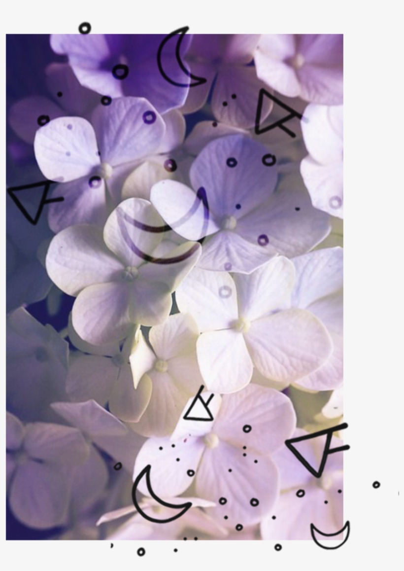 Web Testimonials, transparent png #8692943