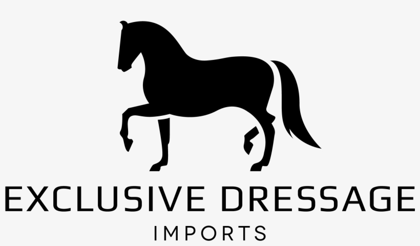 Stallion, transparent png #8694191