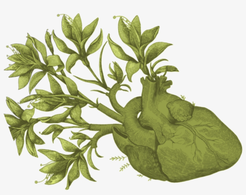 Algunos Buenos Libros, transparent png #8694330