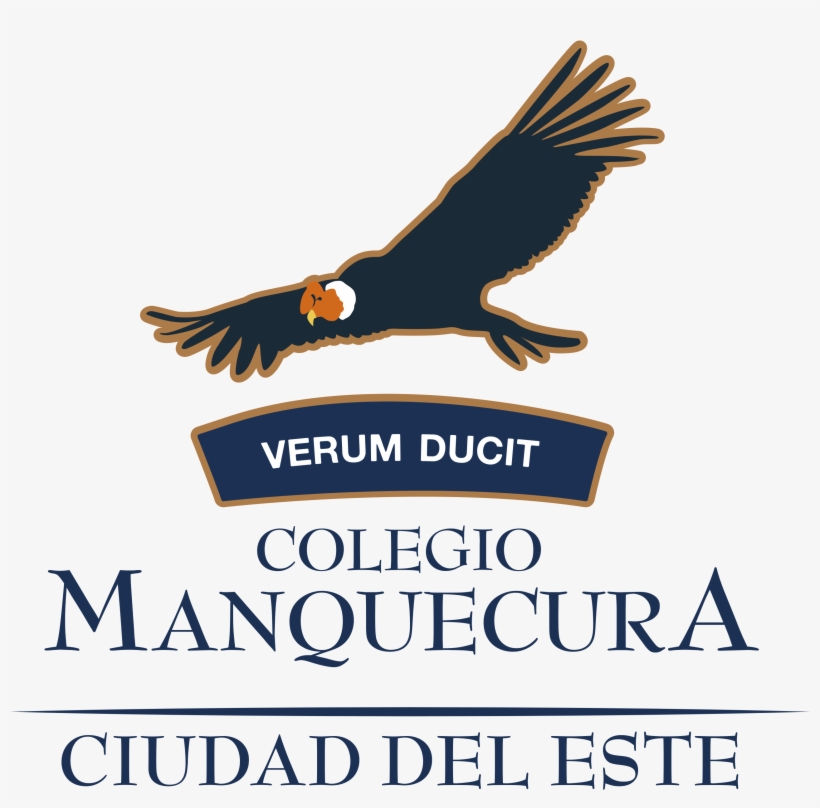 Graduación De Iv Medios - Colegio Pumahue, transparent png #8694596