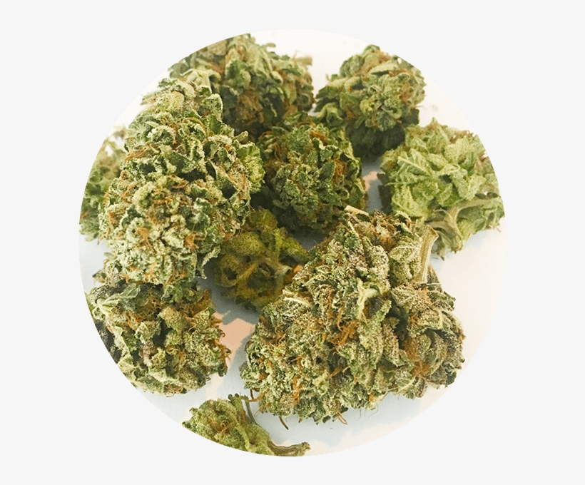 Tuna Kush At Great Weed North - Tempura, transparent png #8695314