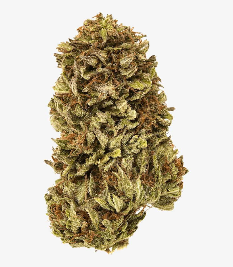 New Age Botanicals - Bud, transparent png #8695438