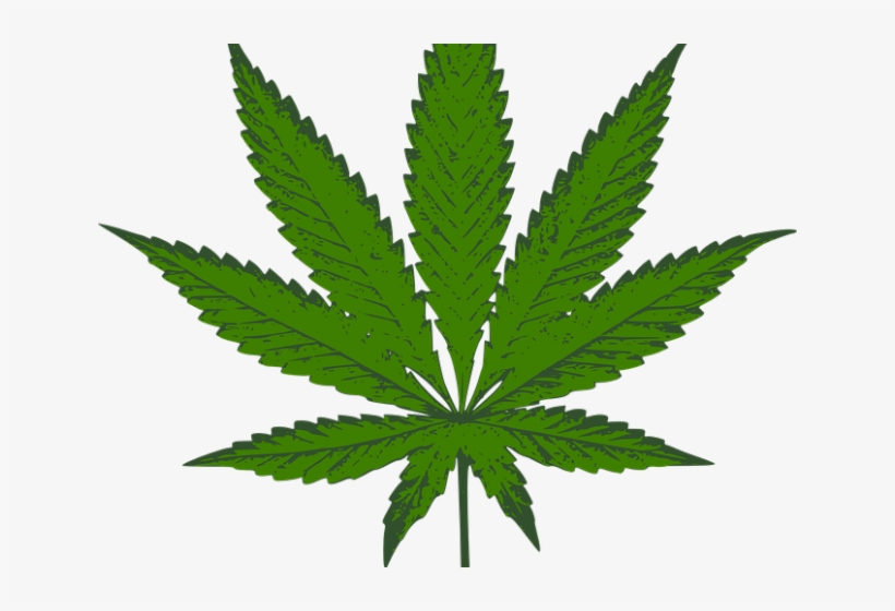 Weed Clipart Weed Bud - Dark Green Weed Leaf, transparent png #8695606