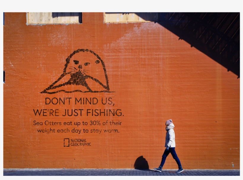 The Line, “don't Mind Us,” Is The Essence Of This Campaign - Logo, transparent png #8695608