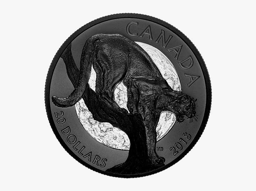 167127 Rev-570 - Silver, transparent png #8696084