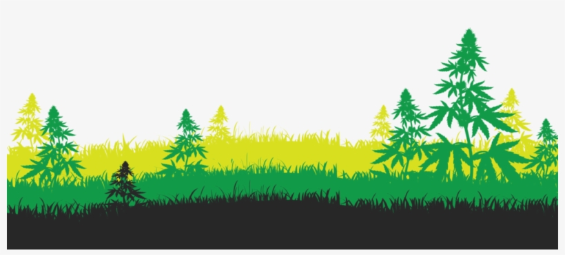 High Quality Cannabis Strains - Illustration, transparent png #8696116