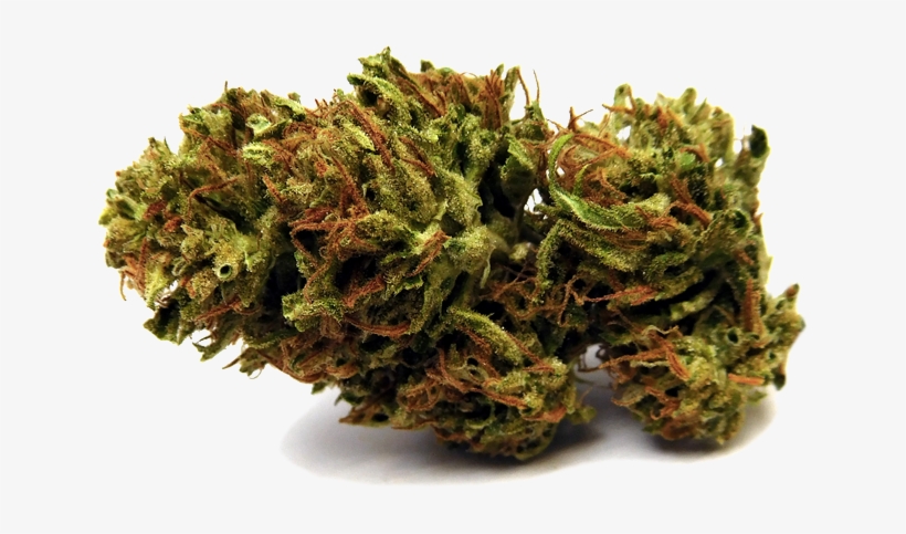 Amnesia Lemon-no Bg - Cbd Blüten Tee, transparent png #8696186