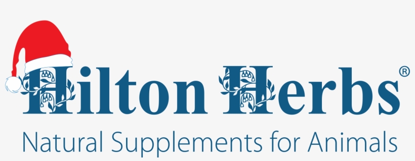 Christmas Hilton Herbs Web, transparent png #8697301