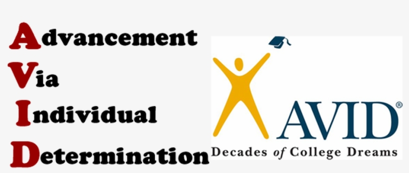 Picture - Avid Program, transparent png #8698110