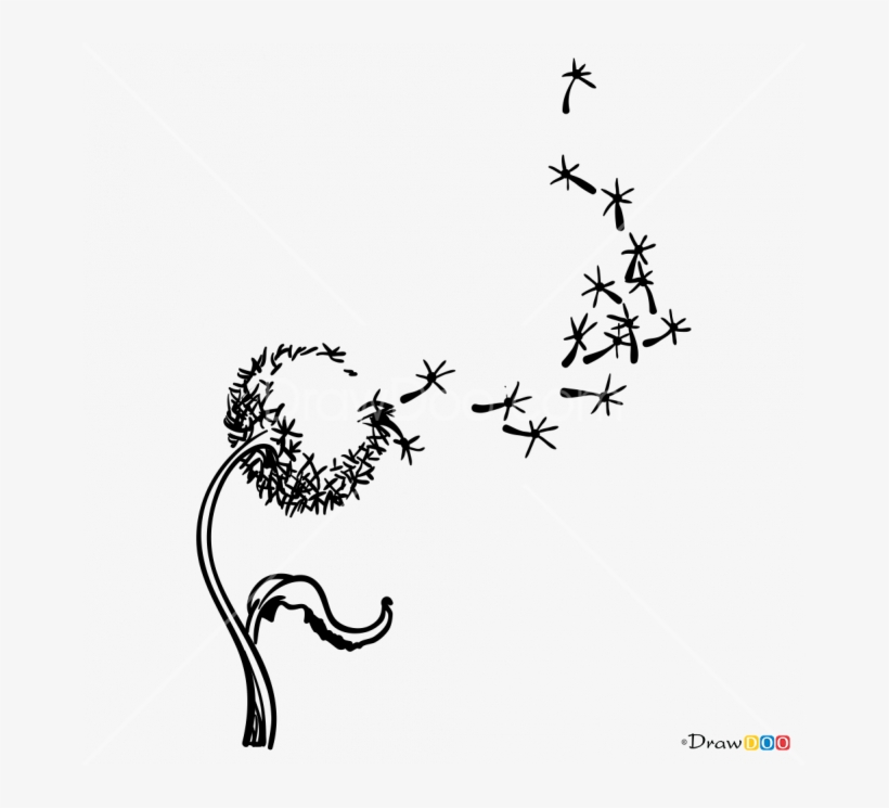 665 X 665 4 - Draw Dandelion, transparent png #8698398