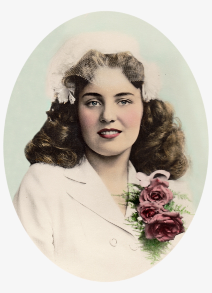 Garden Roses, transparent png #8699003