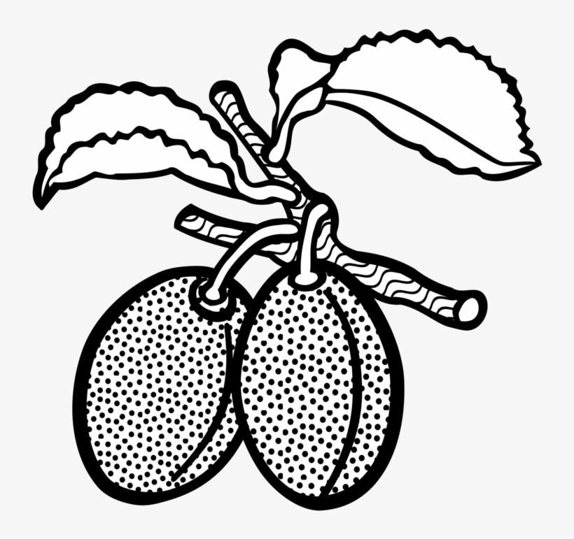 Line Art Plum Drawing Computer Icons Fruit - Plum Drawing, transparent png #870110