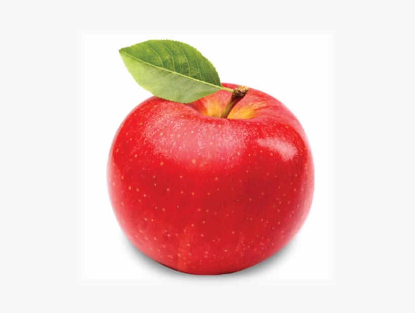 Apple - Single Fruits And Vegetables, transparent png #870681