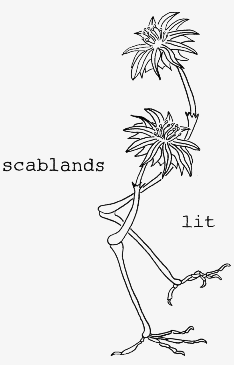 Scablands Lit - Book, transparent png #870952