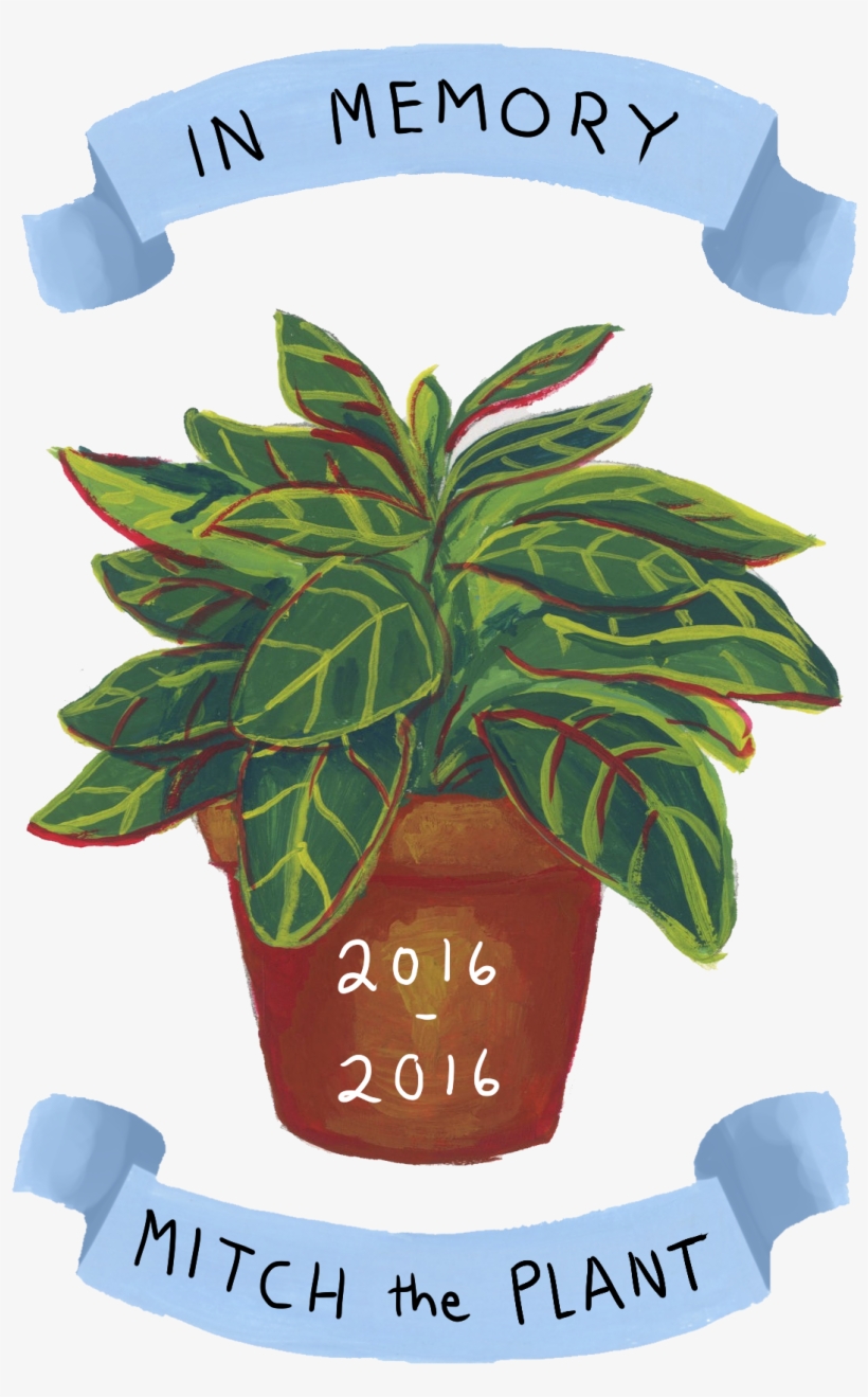 A Small Portrait I Made For Cody Rhodes As A Thank - T-shirt, transparent png #871232