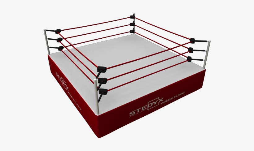 Wrestling Cage Png - Pro Wrestling Ring Png, transparent png #871346