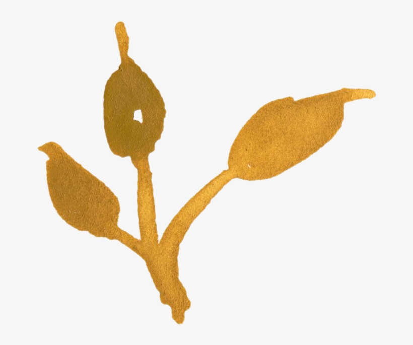 Watercolour - Illustration, transparent png #871617