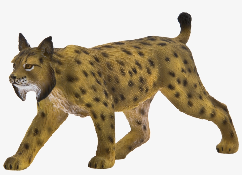 Animal Planet Iberian Lynx, transparent png #872100