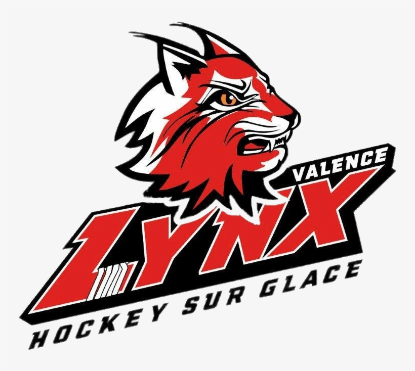 Download - Fox, transparent png #872569