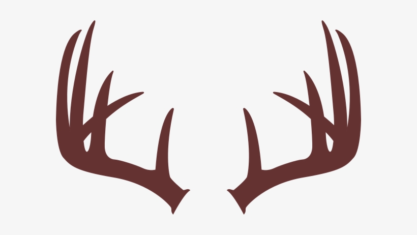 Drawing Of Deer Antlers, transparent png #873484