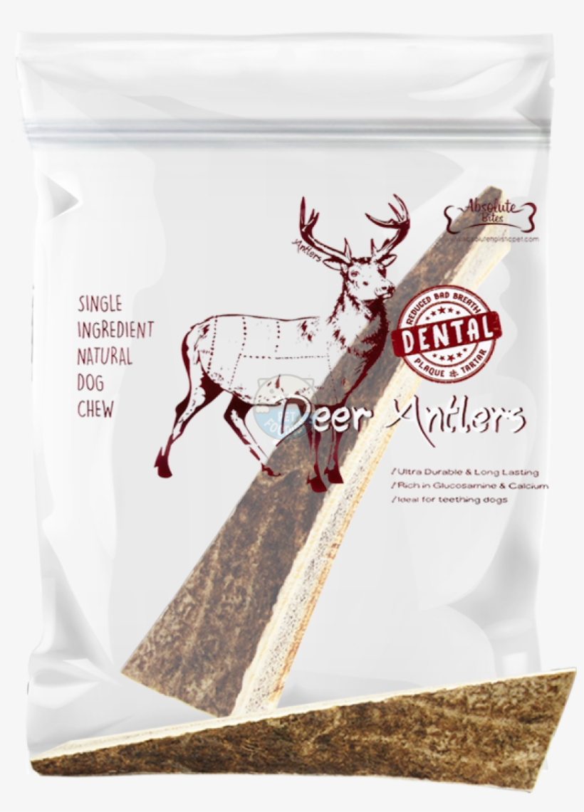 Absolute Bites Half Deer Antlers Dental Chew - Antler, transparent png #873578