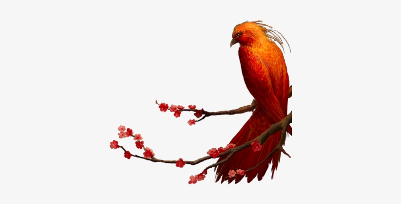Phoenix Red Flw Branch - Phoenix On A Branch, transparent png #874058