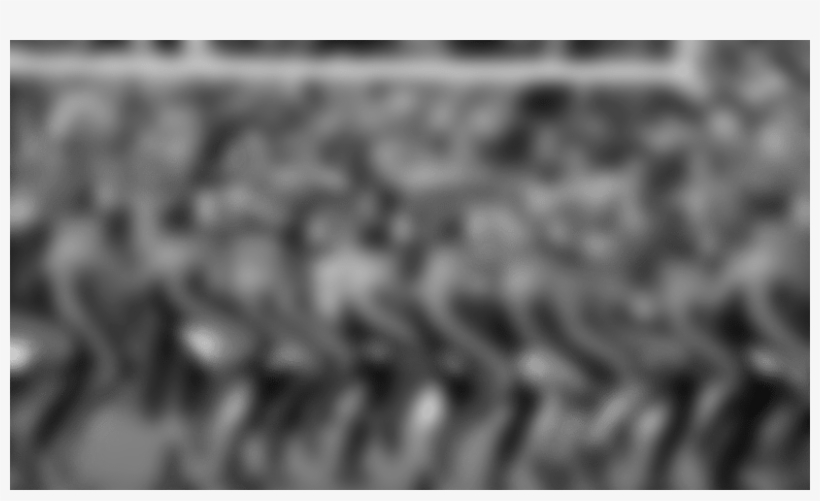 Third Quarter Performance - Philadelphia Eagles Cheerleaders, transparent png #875097