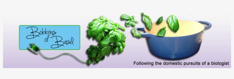 Bobbins Of Basil - Vegasbows1 Blavk Tie Bow, transparent png #876806