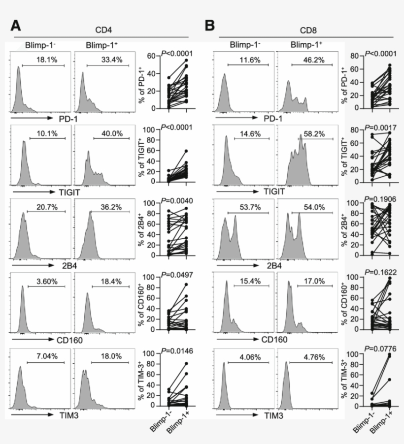Expression Of Blimp 1 Correlates With The Upregulation - Tigit, transparent png #878065