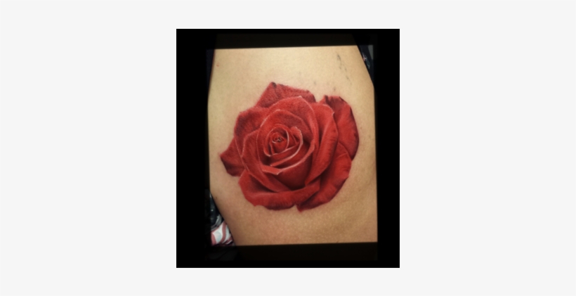 David Vega - Color, transparent png #878704