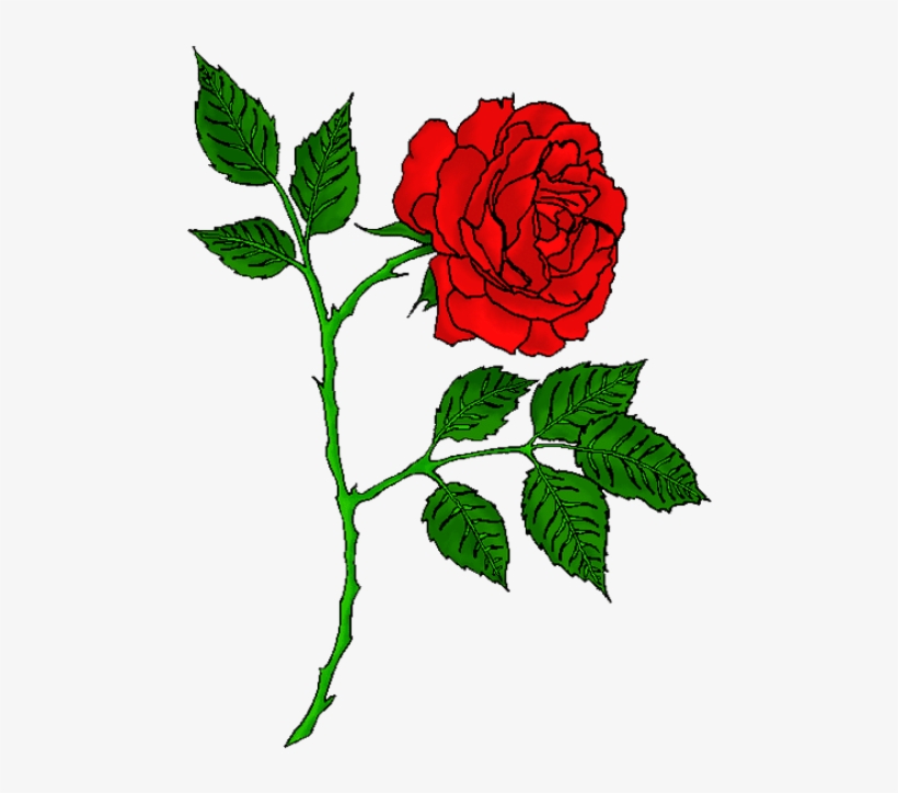 Rose Tattoo Images All - Red Rose Tattoo Transparent, transparent png #878867