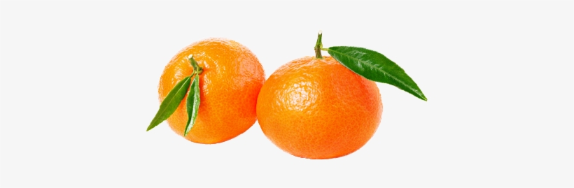 And Grapefruit To Produce A Fruit Without Seeds And - Clementine, transparent png #879155