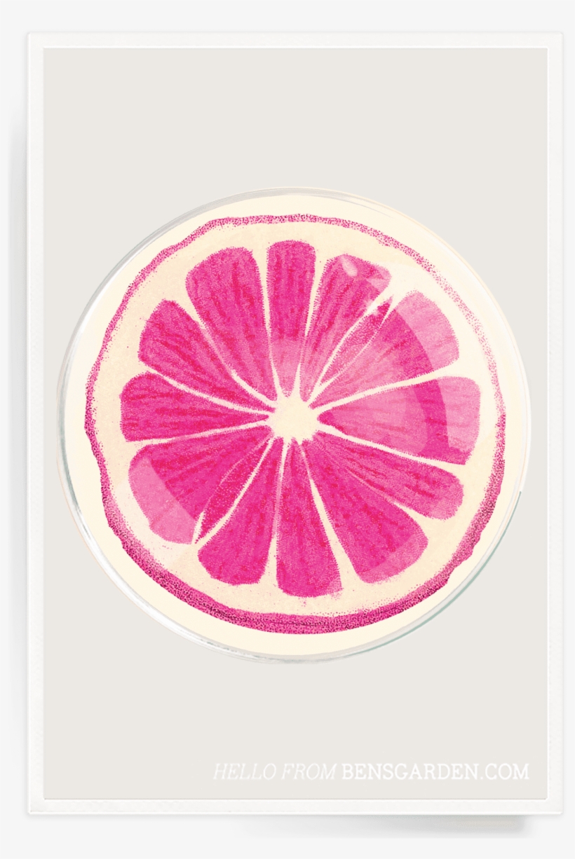 Ben's Garden - Pomelo, transparent png #879209
