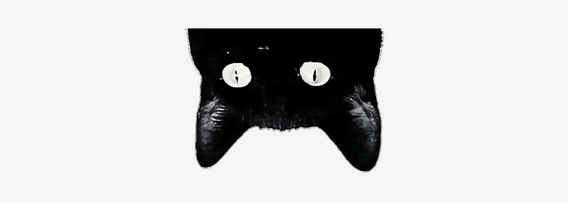 Report Abuse - Sticker Tumblr Png Black, transparent png #879913