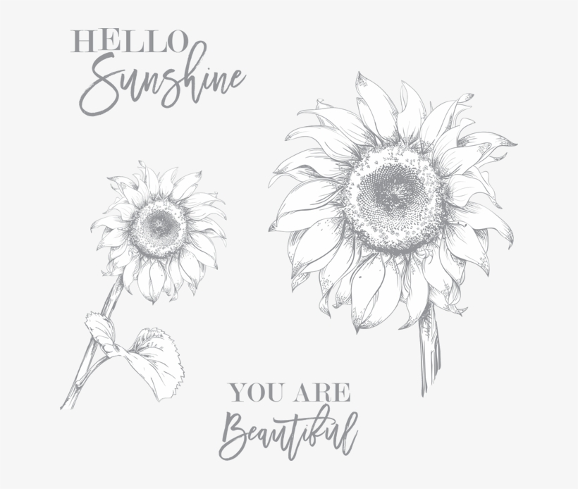 Hello Sunflower Stamp Set - Sunflower Drawing, transparent png #8700137