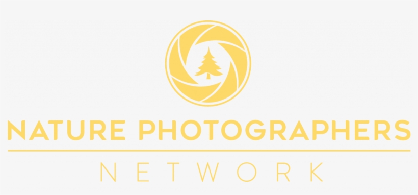 Npn Large Logo1200 - Emblem, transparent png #8700252