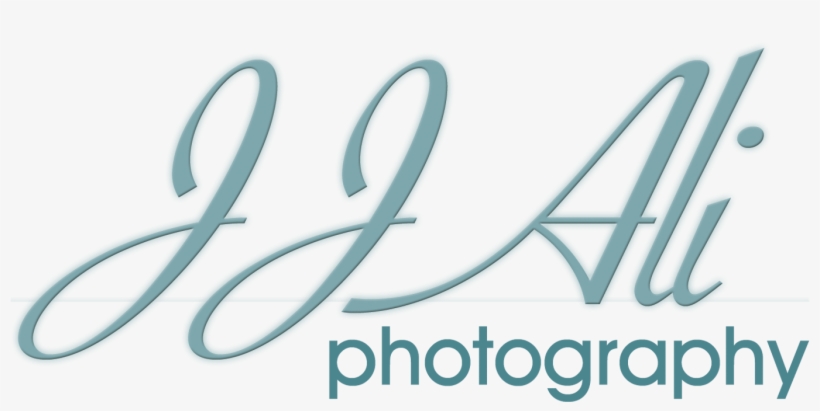 Ap Photography Free Transparent Png Download Pngkey Ap Photography Free Transparent Png Download Pngkey