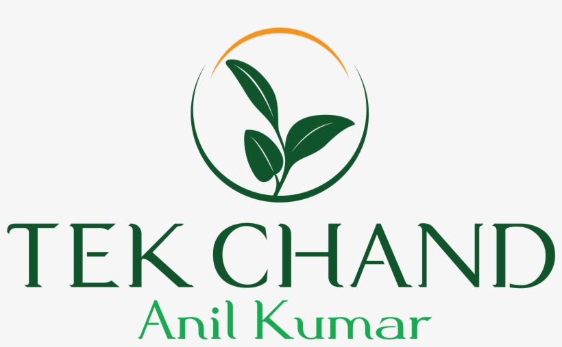 Other Product - Graphic Design, transparent png #8700533