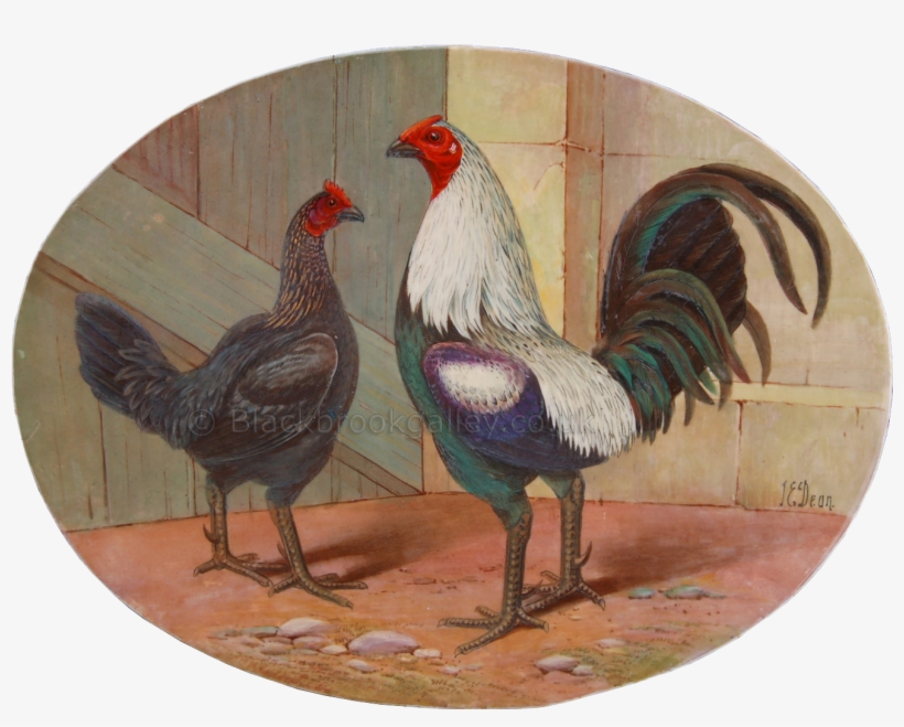 Rooster, transparent png #8701065