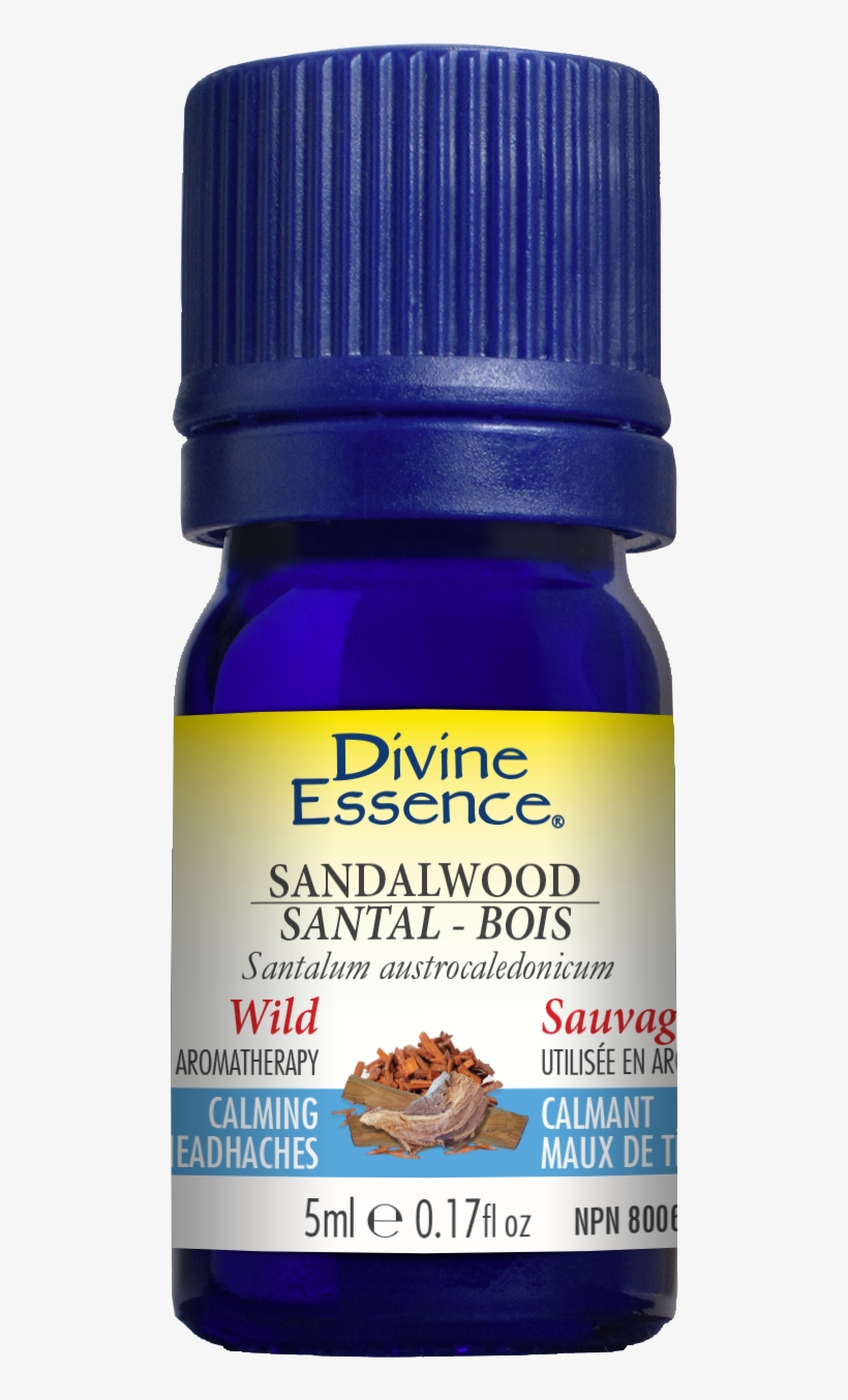 Share - Divine Essence Patchouli, transparent png #8701306