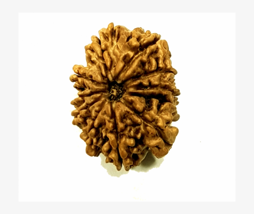11 Mukhi Nepali (lord Hanumanji) - Food, transparent png #8702175